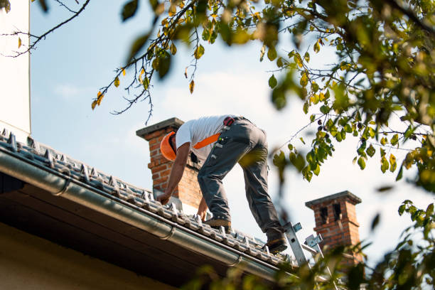 Best Roofing Contractors for Homes  in Breezy Point, MN