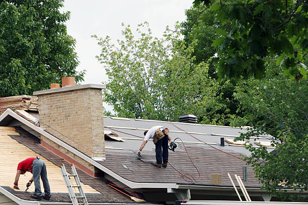 Best Metal Roofing Contractor  in Breezy Point, MN