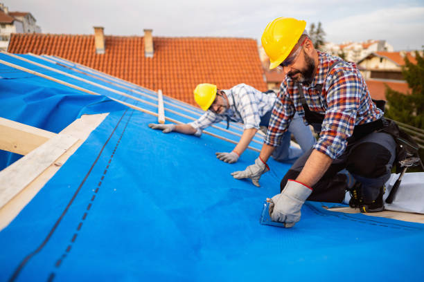 Best Roof Leak Repair  in Breezy Point, MN