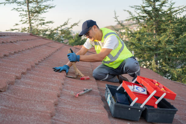 Residential Roof Replacement in Breezy Point, MN